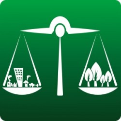 Tandem Nonprofit & For-Profit Companies Must Walk Fine Line