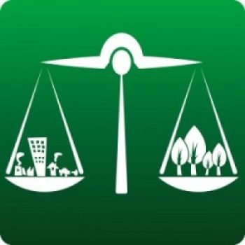 balance of nonprofit forprofit
